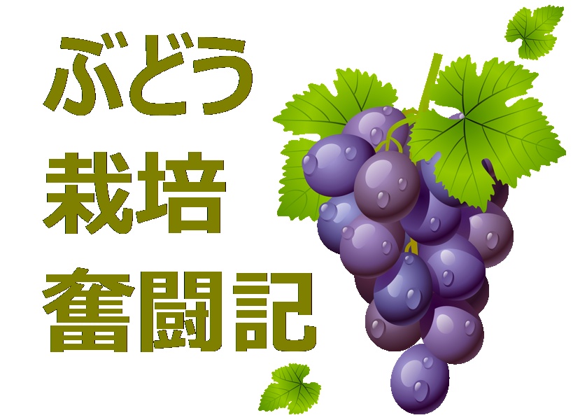 ふどう栽培のDiaryです。