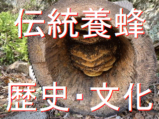 ニホンミツバチの伝統養蜂の歴史や文化を知ることのできるサイトです。